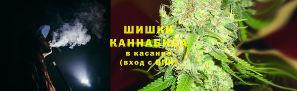 ПСИЛОЦИБИНОВЫЕ ГРИБЫ Верея