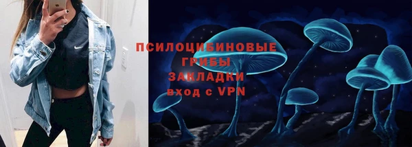 ПСИЛОЦИБИНОВЫЕ ГРИБЫ Верея