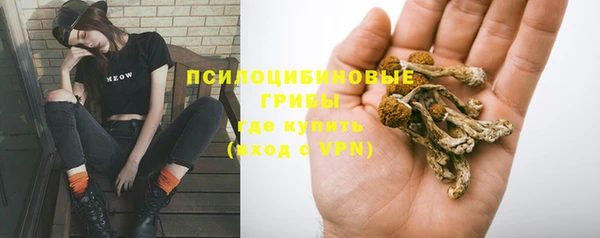 ПСИЛОЦИБИНОВЫЕ ГРИБЫ Верея