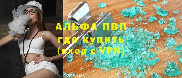 ПСИЛОЦИБИНОВЫЕ ГРИБЫ Верея