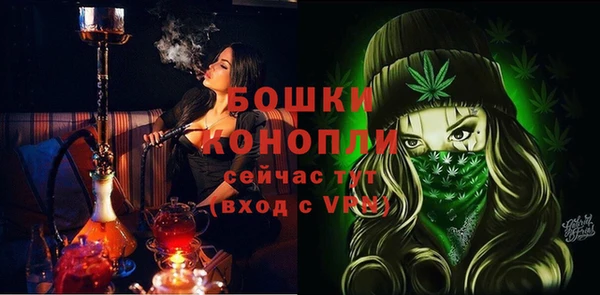 ПСИЛОЦИБИНОВЫЕ ГРИБЫ Верея